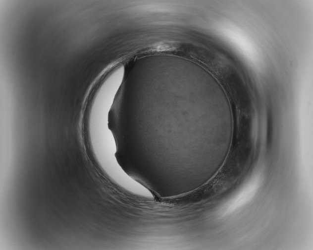 X0000096660387200802261347