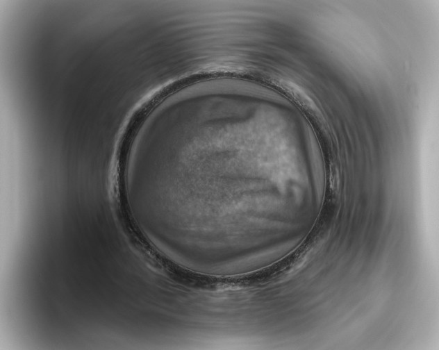 X0000096660388200802261347