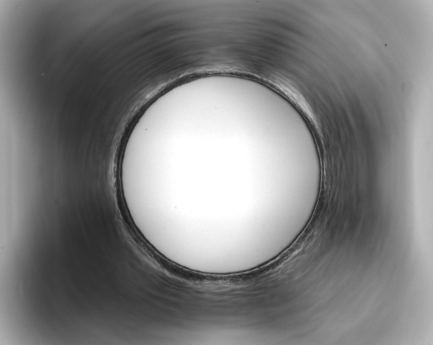 X0000096660389200802261347