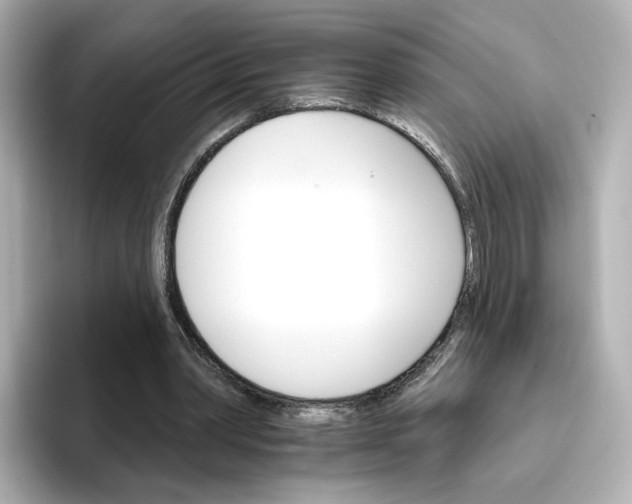 X0000096660390200802261347