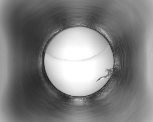 X0000096660394200802261347