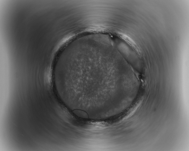 X0000096660396200802261347