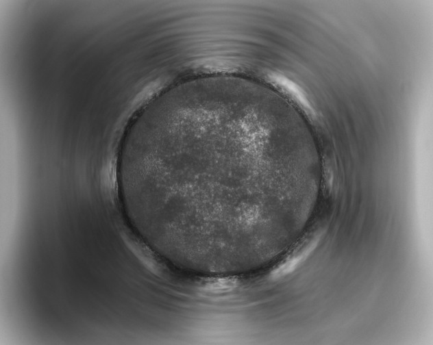 X0000096660398200802261347