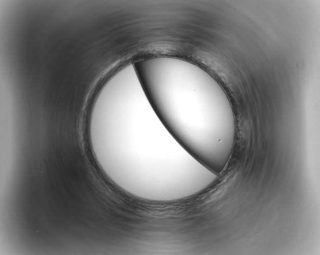 X0000096660399200802261347