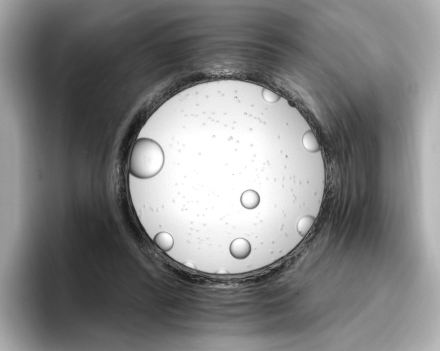 X0000096660400200802261347