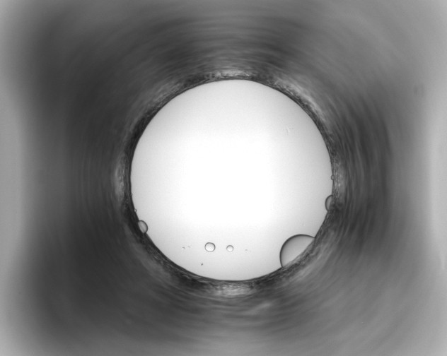 X0000096660402200802261347