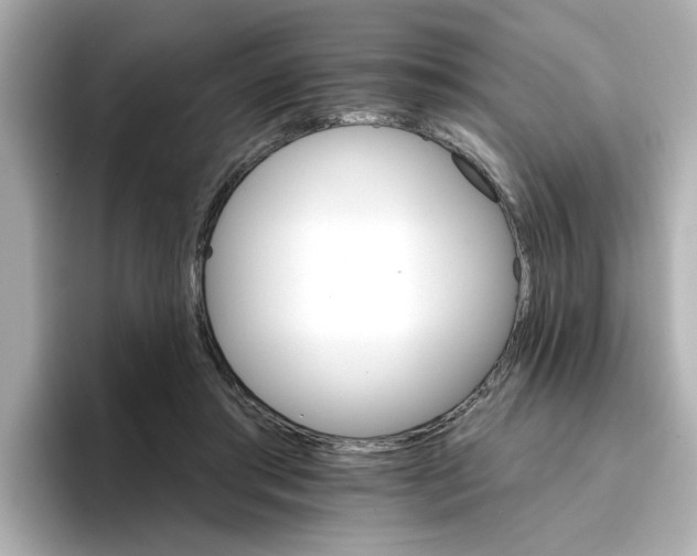 X0000096660405200802261347