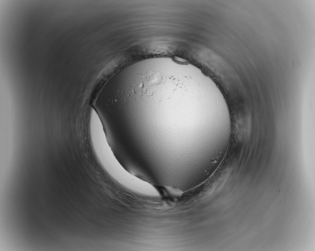 X0000096660407200802261347