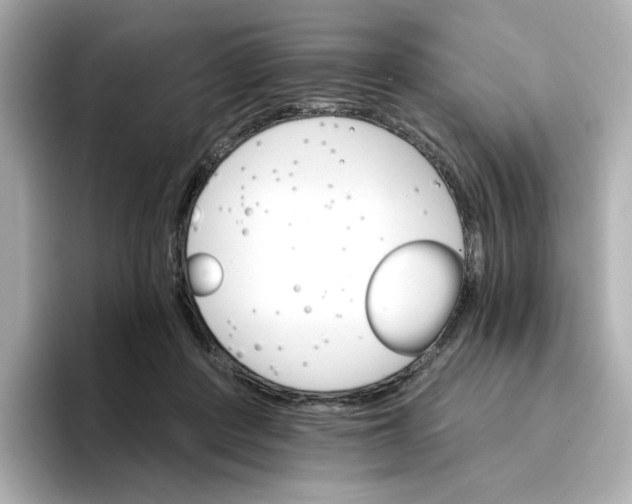 X0000096660408200802261347