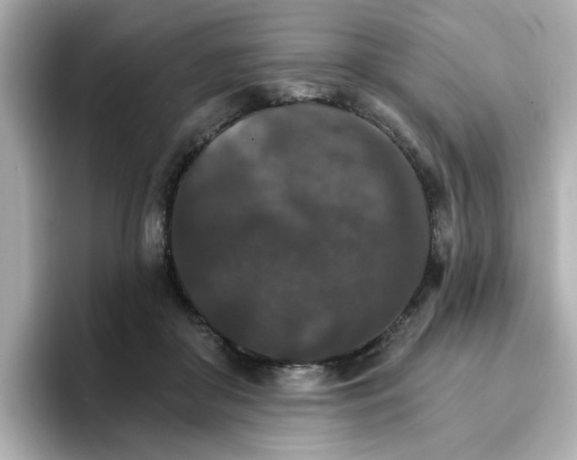 X0000096660410200802261347