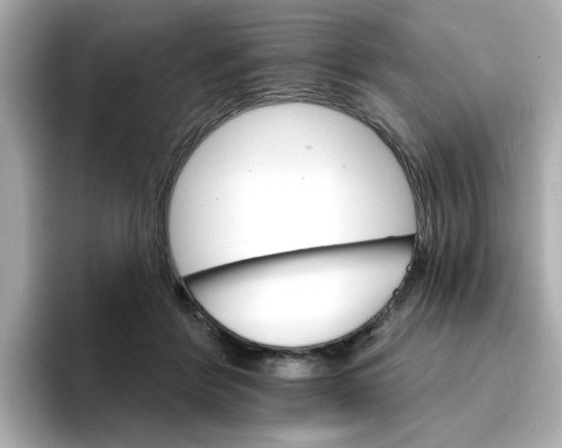 X0000096660412200802261347