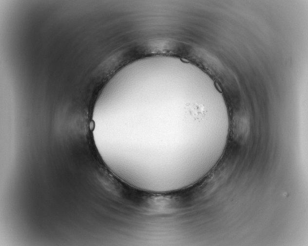 X0000096660413200802261347