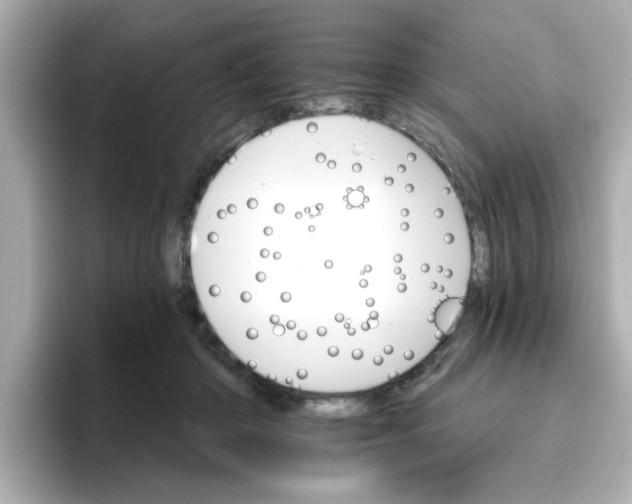 X0000096660414200802261347