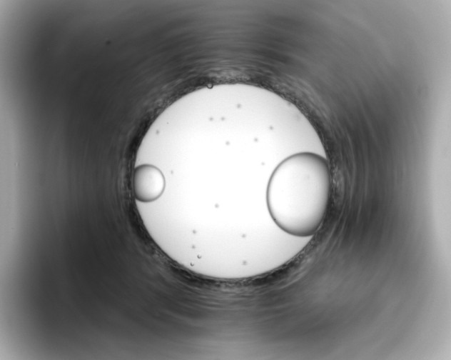 X0000096660416200802261347