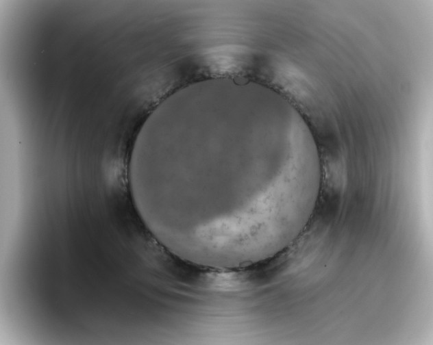 X0000096660419200802261347