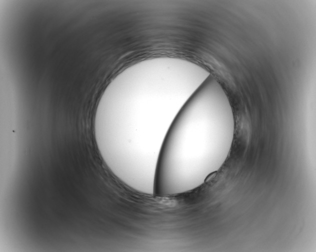 X0000096660421200802261347