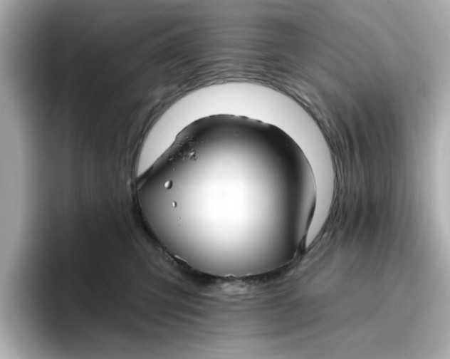 X0000096660423200802261347