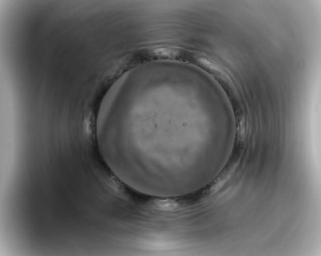 X0000096660424200802261347