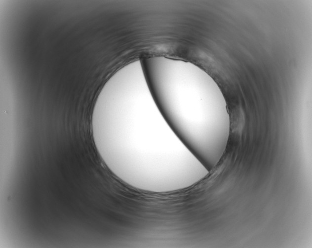 X0000096660425200802261347