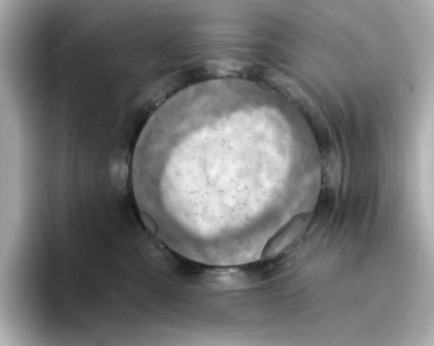 X0000096660427200802261347