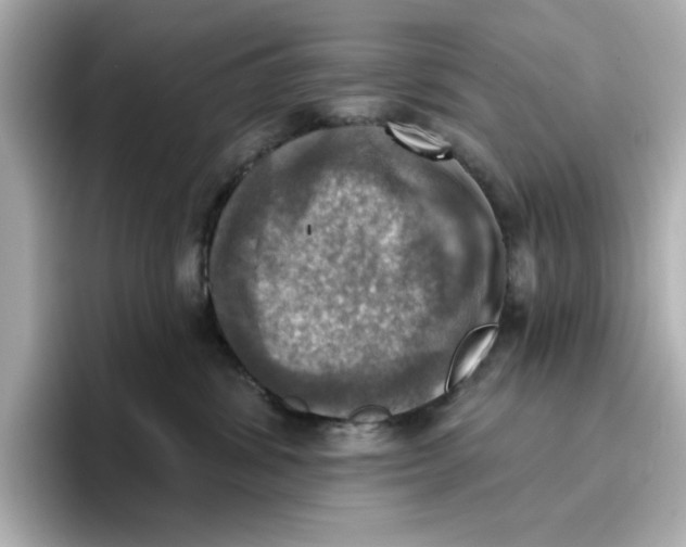 X0000096660428200802261347