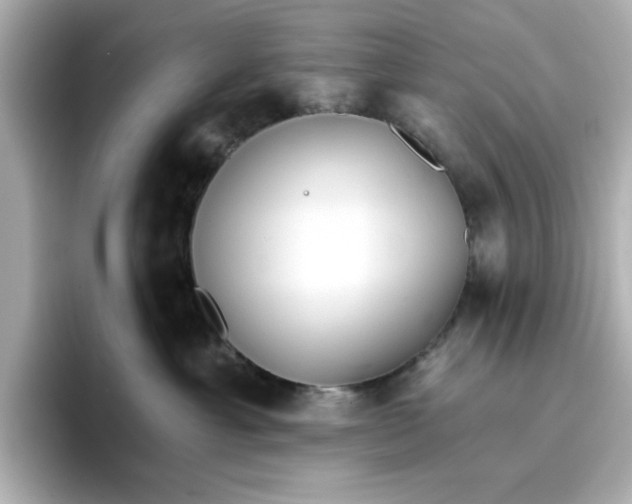 X0000096660429200802261347