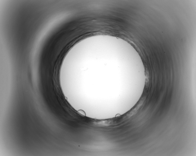 X0000096660430200802261347