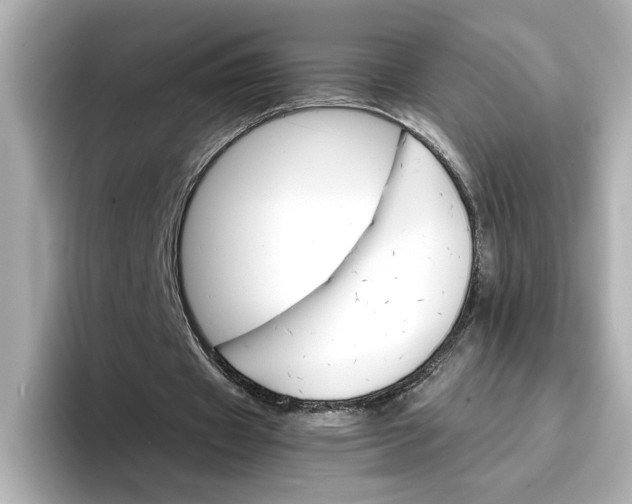 X0000096660433200802261346