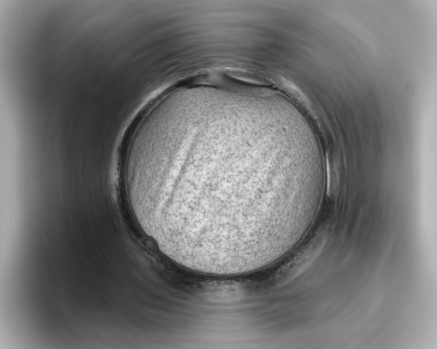 X0000096660435200802261346