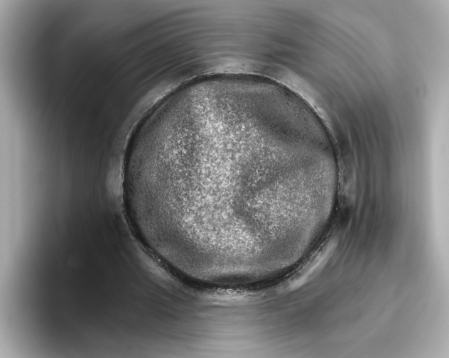 X0000096660437200802261346