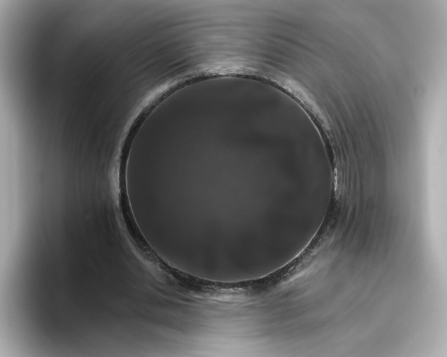 X0000096660438200802261346