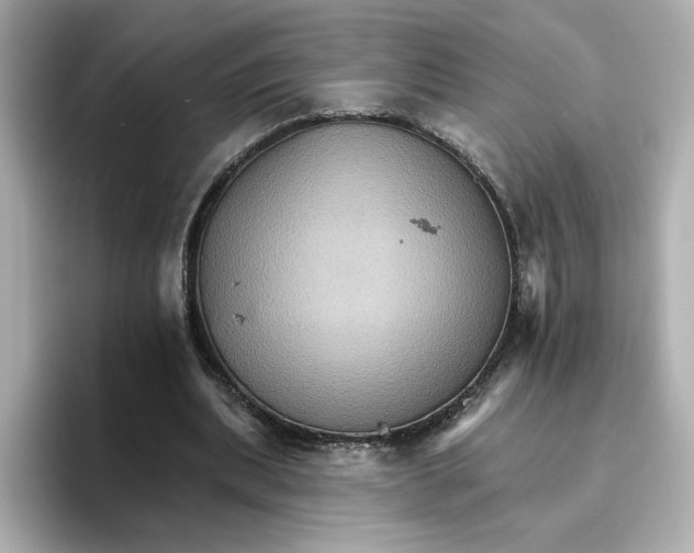 X0000096660439200802261346