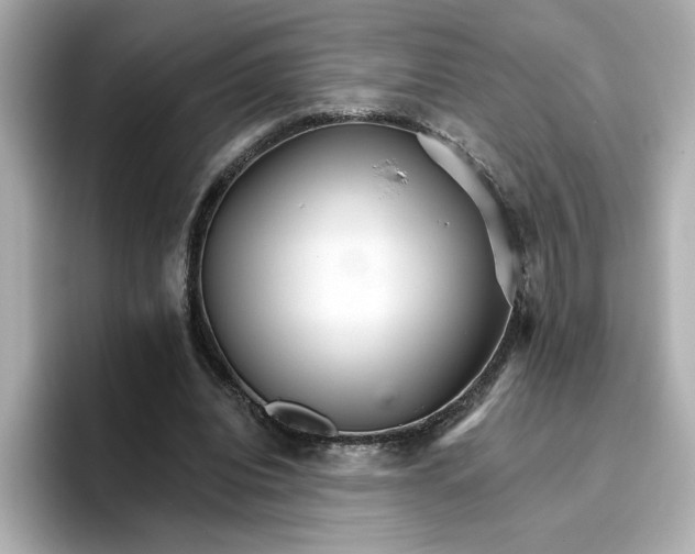 X0000096660440200802261346