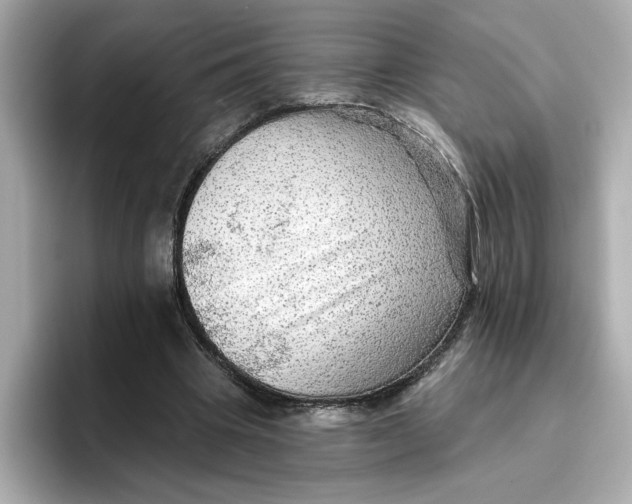 X0000096660441200802261346