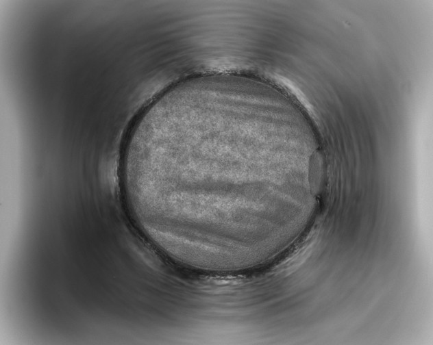 X0000096660443200802261346