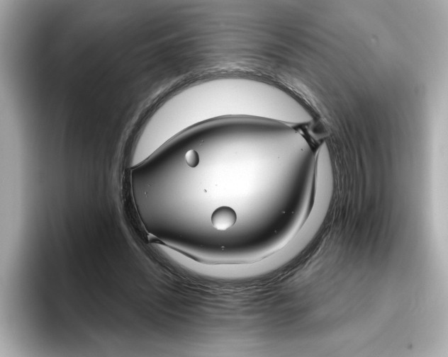 X0000096660444200802261346