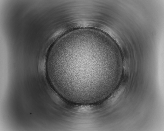 X0000096660445200802261346