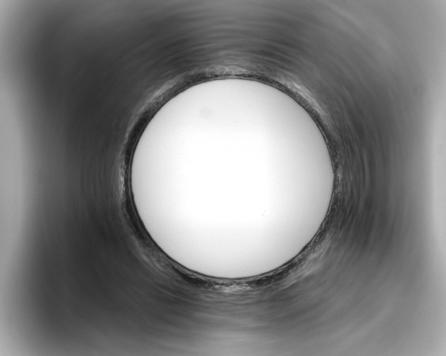 X0000096660446200802261346