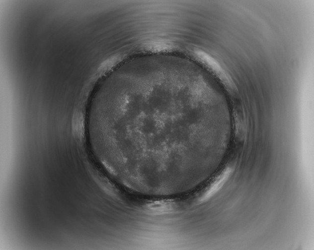 X0000096660447200802261346