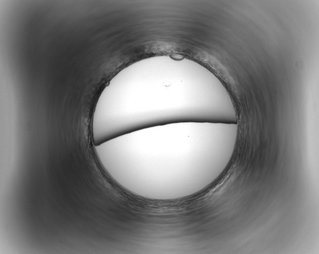 X0000096660449200802261346