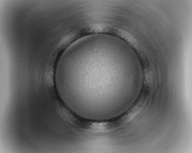 X0000096660450200802261346