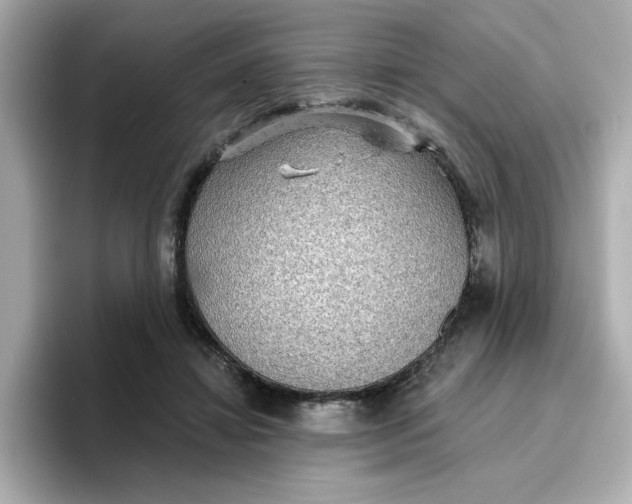 X0000096660452200802261346