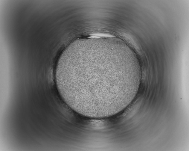 X0000096660457200802261346