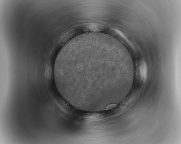 X0000096660459200802261347