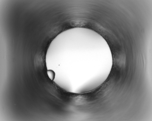 X0000096660460200802261347