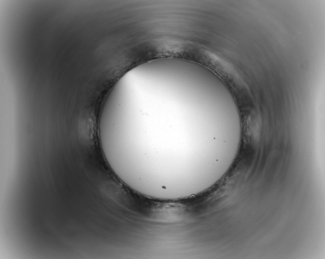 X0000096660463200802261347