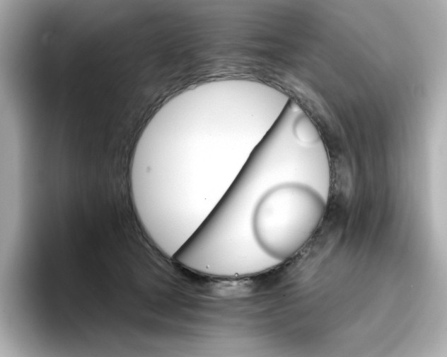 X0000096660465200802261347