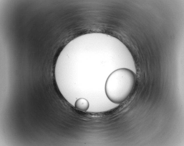 X0000096660466200802261347