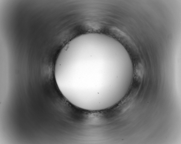 X0000096660468200802261347