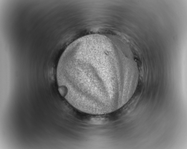 X0000096660470200802261347